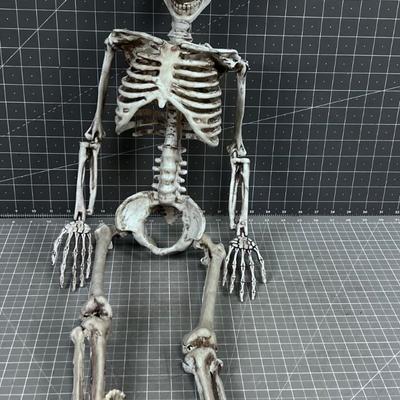 Skeleton Décor 33" long