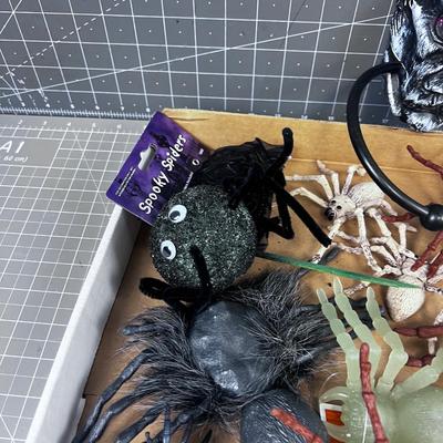 Spiders and Creepy Crawly Things