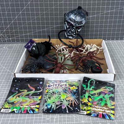 Spiders and Creepy Crawly Things