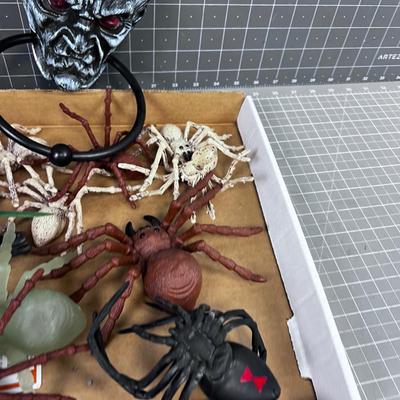 Spiders and Creepy Crawly Things