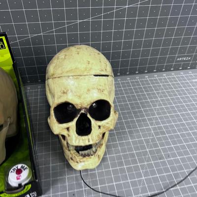 Light up Skulls 