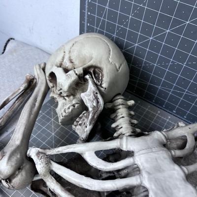 The Better Half of a Skeleton!