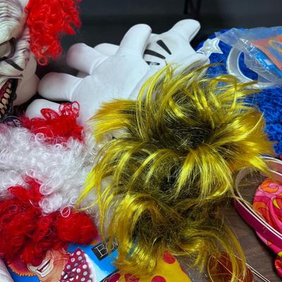Clown, Hippy, Pirate, Mickey Gloves and Hat, Wigs ETC.