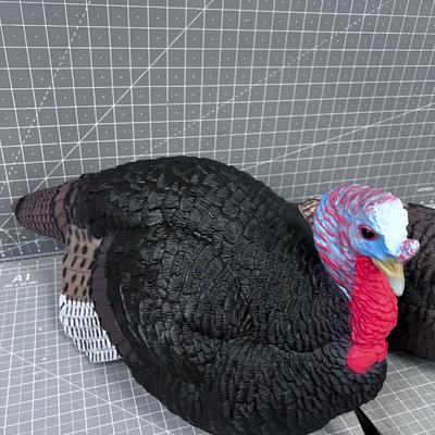November TURKEYS (No Stakes Included) 