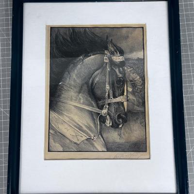 Signed Etching of a Calvary Horse