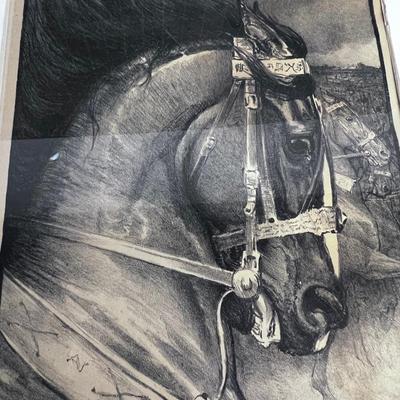 Signed Etching of a Calvary Horse