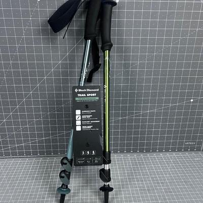 2 New Walking Sticks But different Colors
