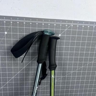 2 New Walking Sticks But different Colors