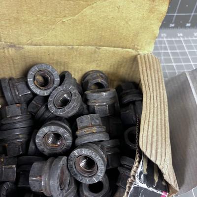 Set of Lug Nuts, Used