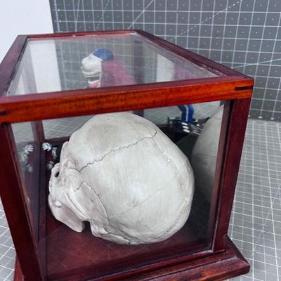 Halloween Décor' Display box