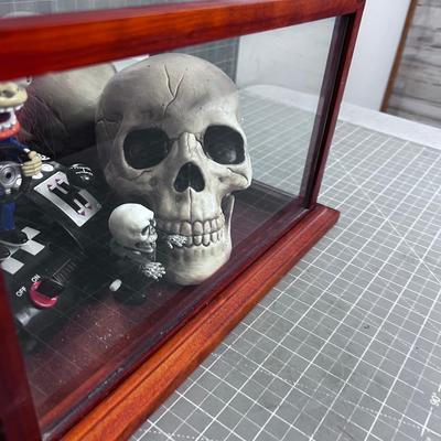 Halloween Décor' Display box