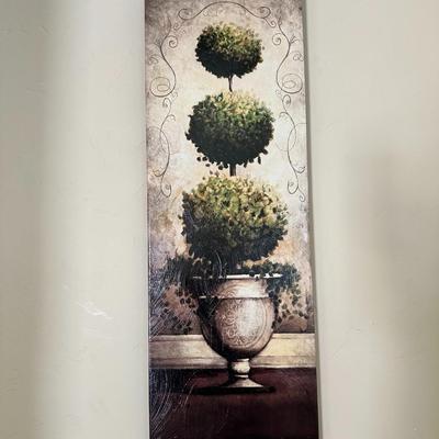 Plant home décor picture