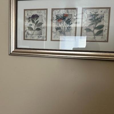 trio plant picture 