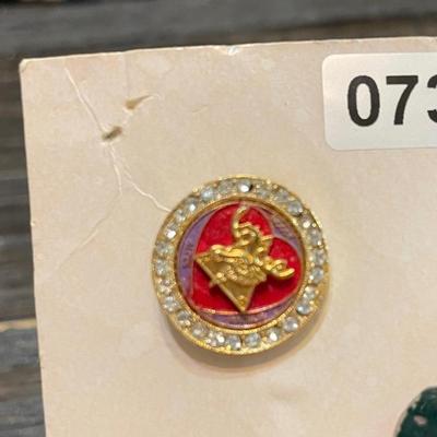 Moose lodge pin