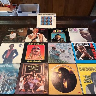 Stevie Wonder, Ray Charles, Harry Belafonte, Nat King Cole Vinyls Lot