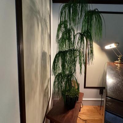 Artificial Plant