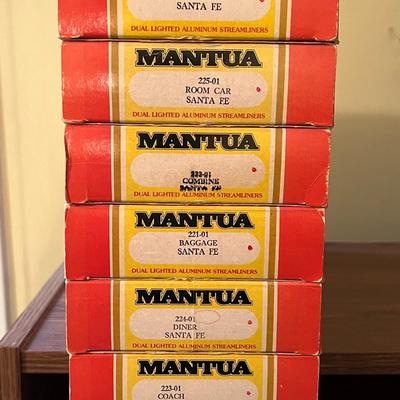 Mantua Train Lot 1