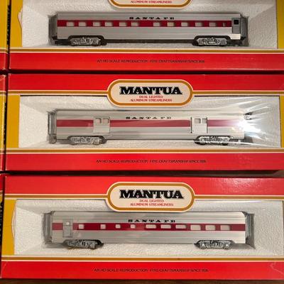 Mantua Train Lot 1