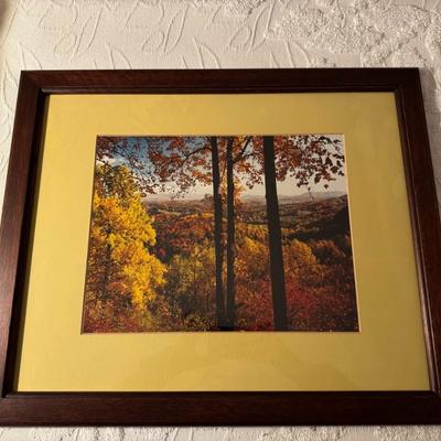 Framed Seasonal Landscape Photography- Set of 3 22.25" x 18.5"