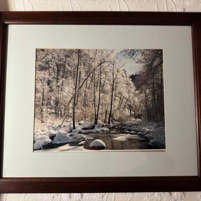 Framed Seasonal Landscape Photography- Set of 3 22.25" x 18.5"