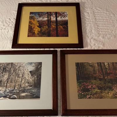 Framed Seasonal Landscape Photography- Set of 3 22.25" x 18.5"