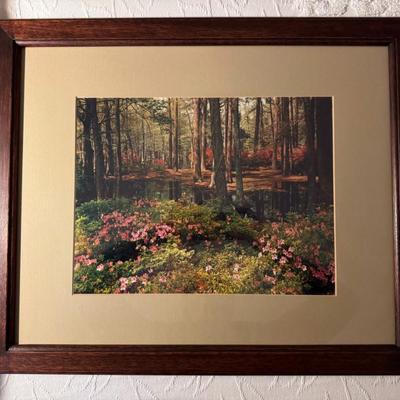 Framed Seasonal Landscape Photography- Set of 3 22.25" x 18.5"