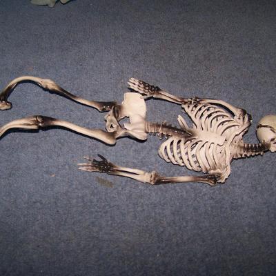 LOT 9 SPOOKY SKELETONS