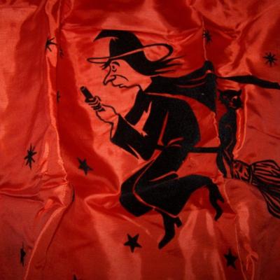LOT 13 AMAZING VINTAGE COLLEGEVILLE WITCH COSTUME in BOX