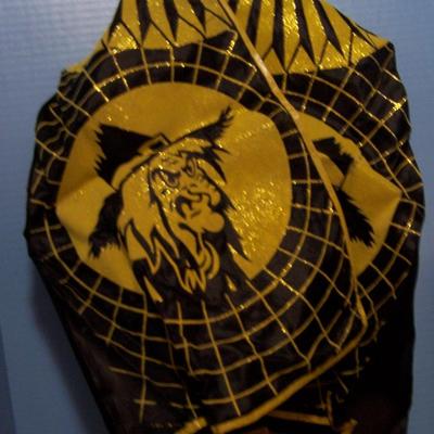 LOT 13 AMAZING VINTAGE COLLEGEVILLE WITCH COSTUME in BOX