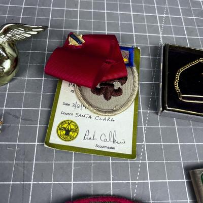 Boy Scout Pins and Merit  Badges 