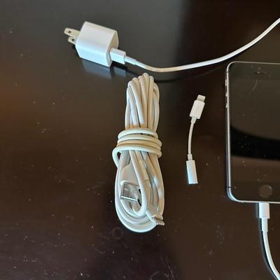 APPLE iPhone and a FITBIT?
