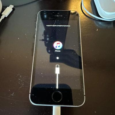 APPLE iPhone and a FITBIT?
