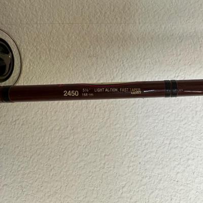 2 FISHING POLES W/REELS, 2 POLE TUBES AND A NYLON BAG