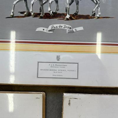 PICTURES OF SPANISH RIDING SCHOOL