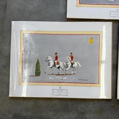 PICTURES OF SPANISH RIDING SCHOOL