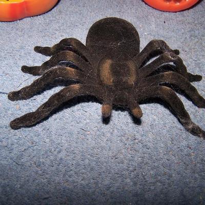 LOT 26 HALLOWEEN