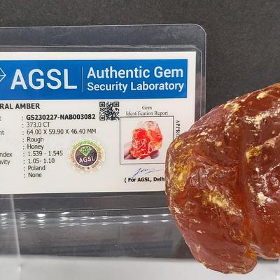 Natural Amber Nugget 373CT With COA