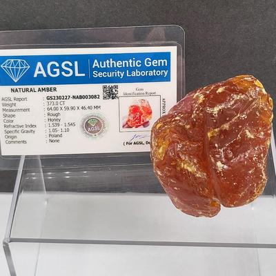 Natural Amber Nugget 373CT With COA