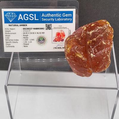Natural Amber Nugget 373CT With COA