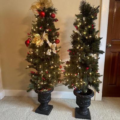 Two 5’ Christmas Trees in Pots