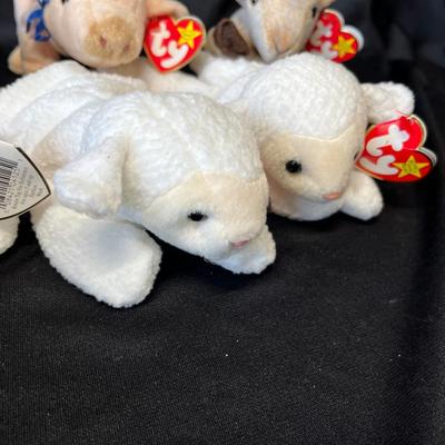 Lot 200 Beanie Baby Lot #3