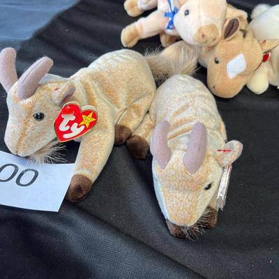 Lot 200 Beanie Baby Lot #3