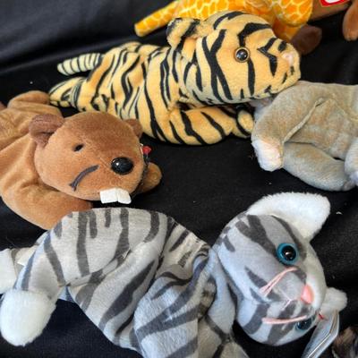 Lot 201 Beanie Baby Lot #4