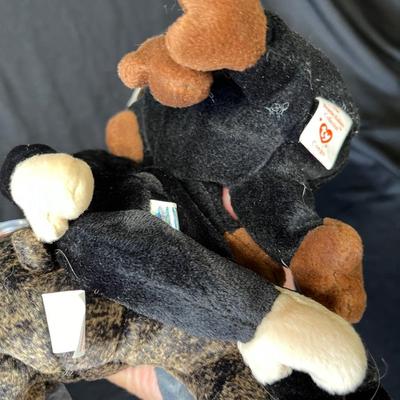 Lot 203 Beanie Baby Lot #6