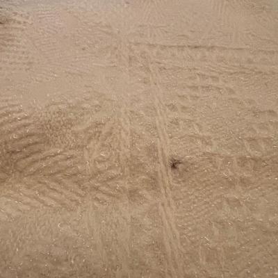 Antique Wool Baby Blanket Cover 1907