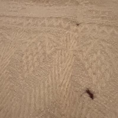 Antique Wool Baby Blanket Cover 1907