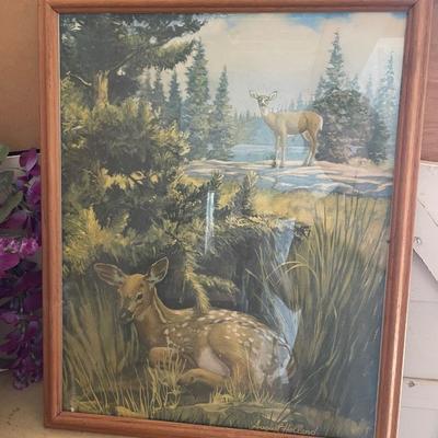 Deer picture