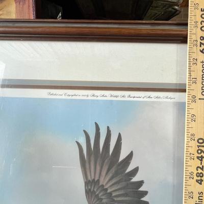 Lot 228 Large Bald Eagle Print