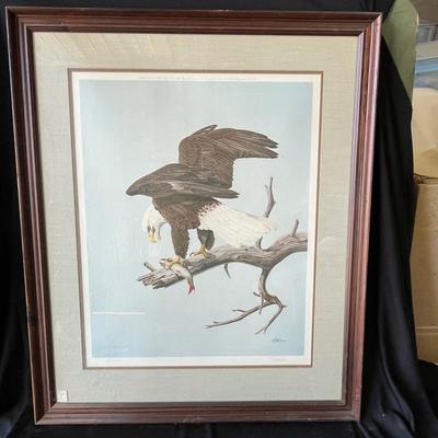 Lot 229 Signed large Bald Eagle Print