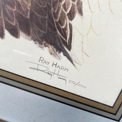 Lot 231 Bald Eagle Print